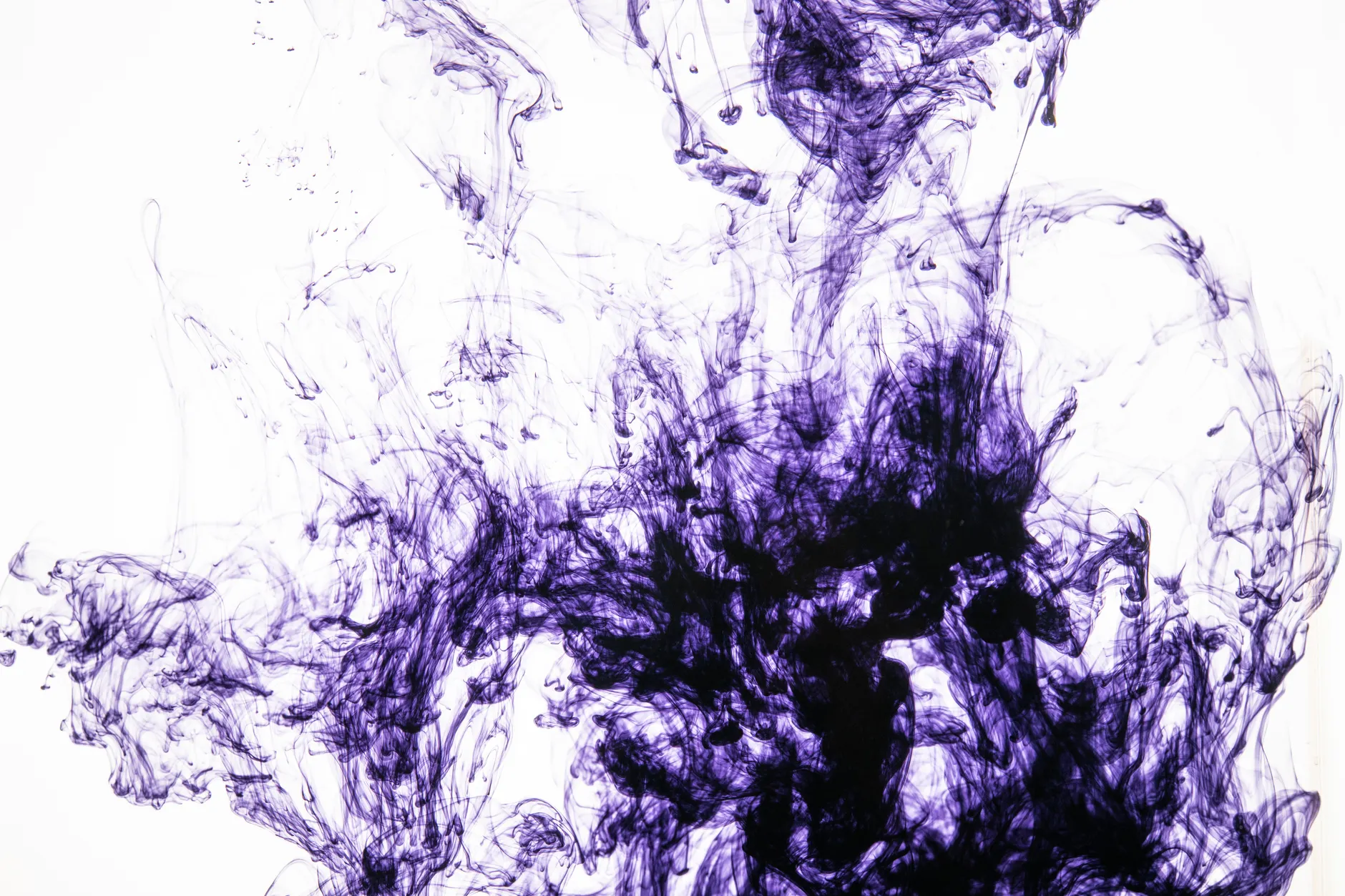 Captivating abstract image of purple ink flowing and swirling underwater.