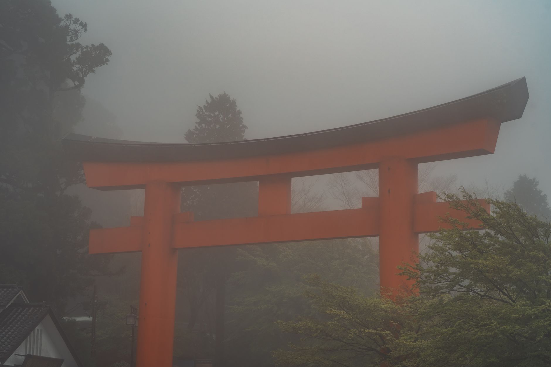 A torii gate stands amidst misty weather and lush greenery in Hakone, Japan.