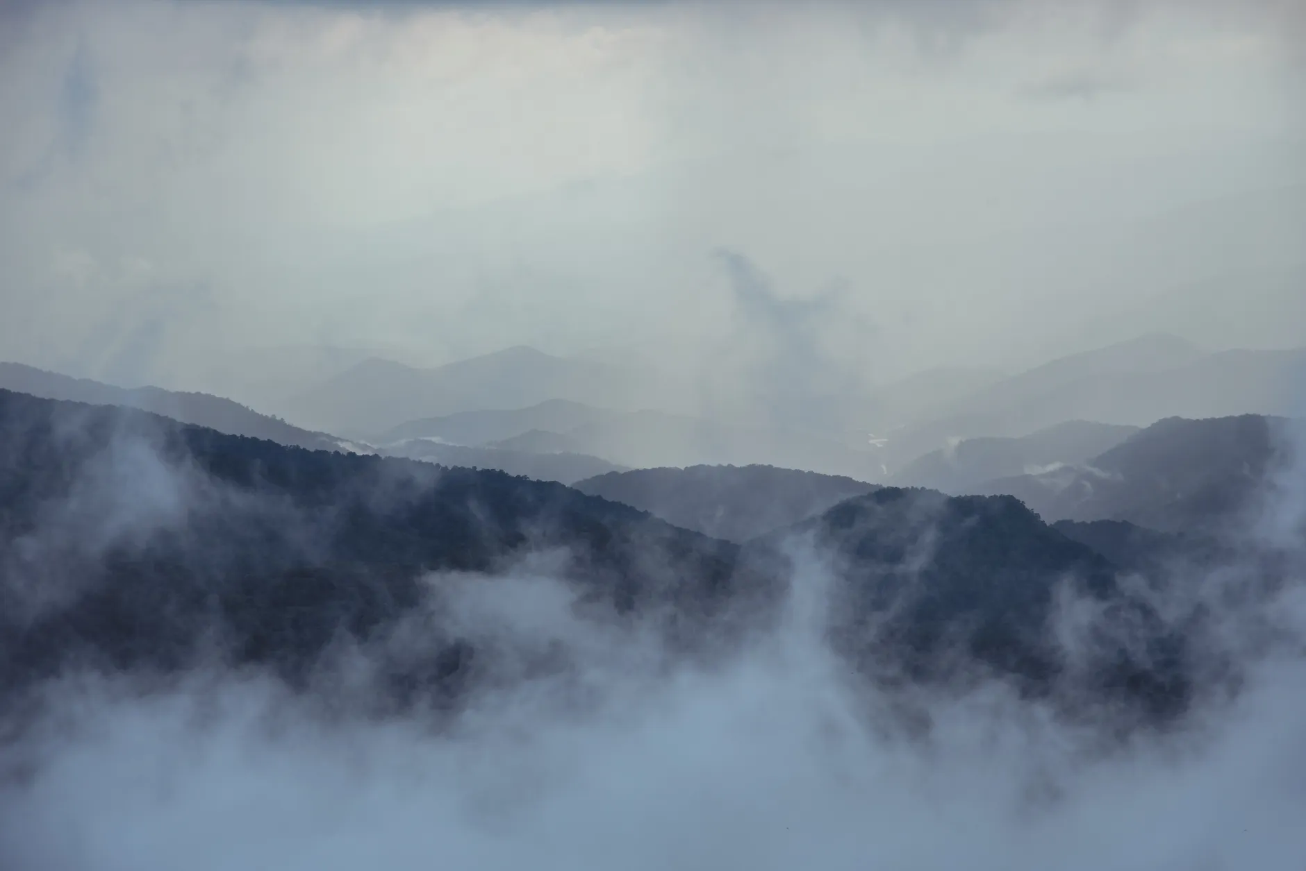 Serene mountain landscape with dense fog creating a moody atmosphere.